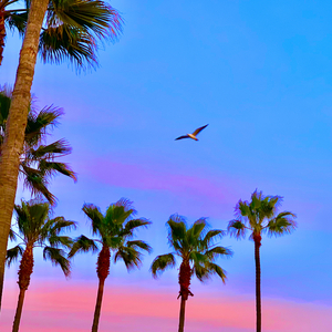 爱我有多深电影在线观看完整免费高清原声满天星
