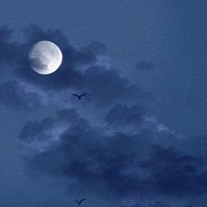 爱我有多深电影在线观看完整免费高清原声满天星
