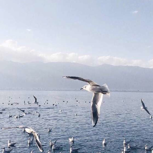 爱我有多深电影在线观看完整免费高清原声满天星
